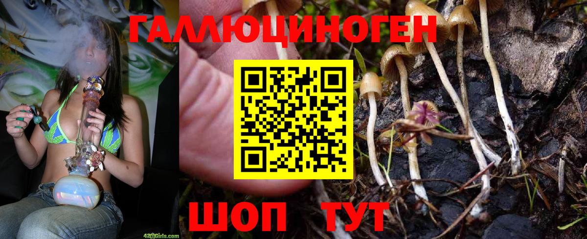 Псилоцибиновые грибы Magic Shrooms  где найти   Брянск  Вход с VPN 