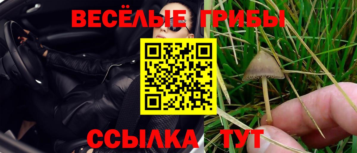 Лсд 25  Гашиш  Вход с VPN  Меф кристаллы  Брянск  Кокаин  Бошки Шишки 